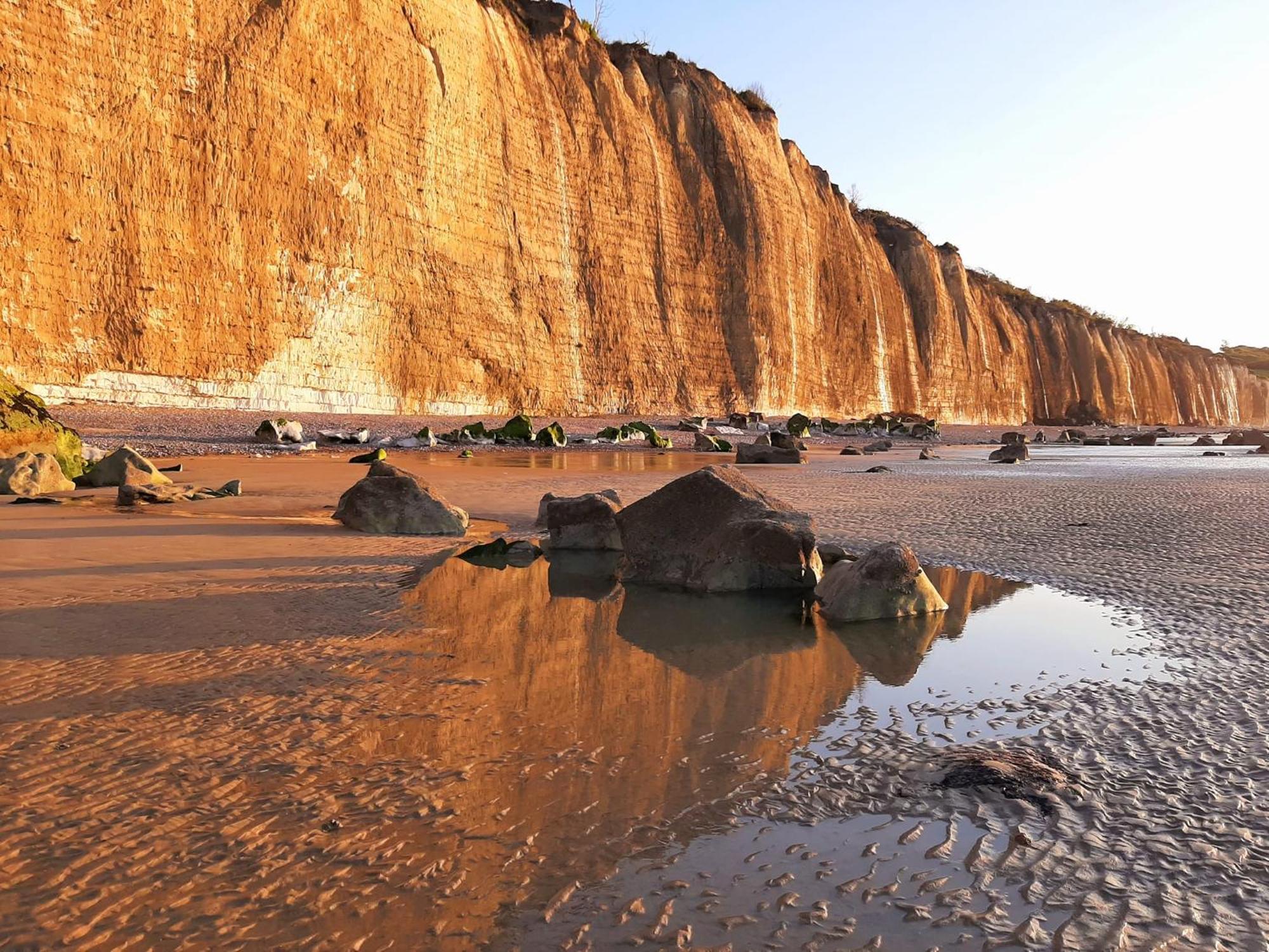 Gite Les Grandes Masures Vasterival Varengeville-sur-Mer Exteriör bild